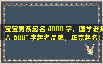 宝宝男孩起名 🐞 字，国学老师八 🐯 字起名品牌，正宗起名！